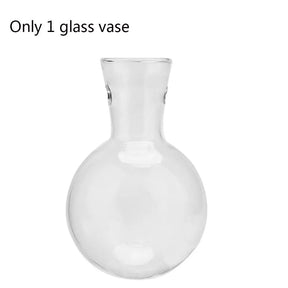 Vaso Hidropônico de Vidro com Moldura de Madeira